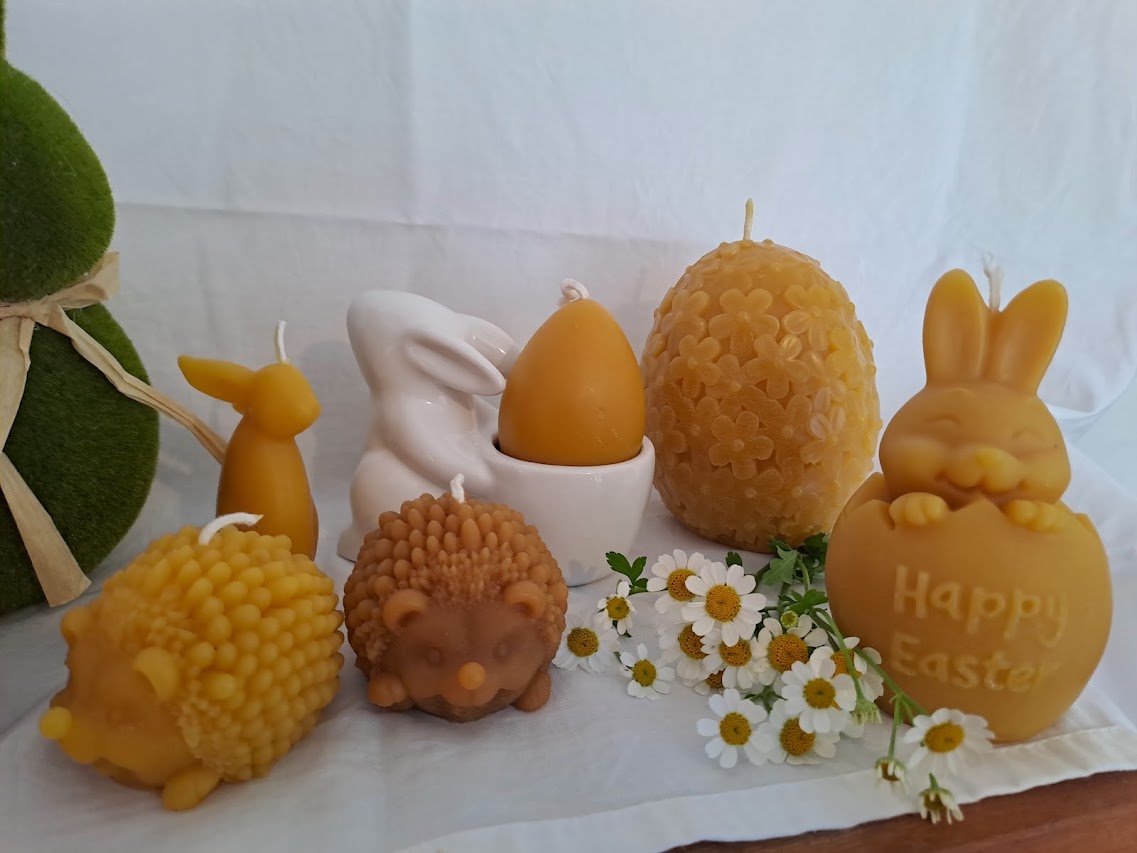 Happy Easter Bunny in Egg