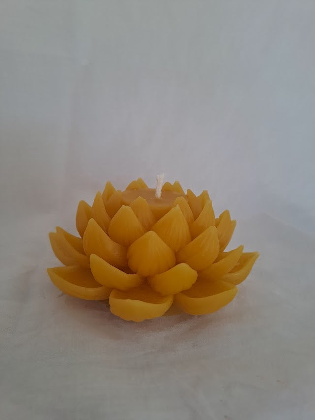 Open Lotus Flower