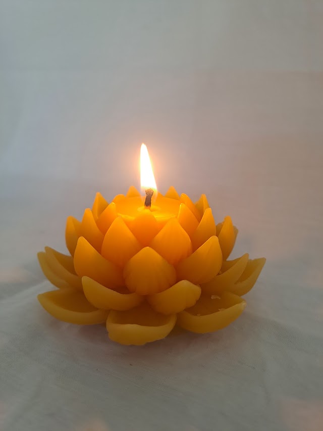 Open Lotus Flower