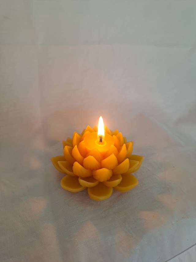 Open Lotus Flower