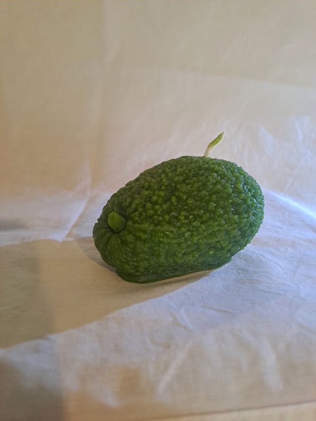 Avocado Candle