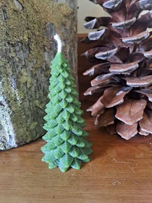 Christmas Fir Tree