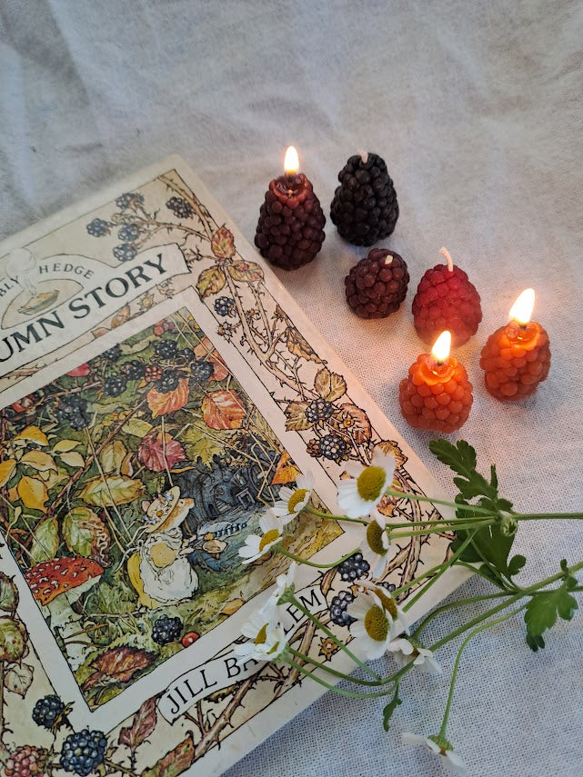 Autumn Beeswax Berry Candle Box