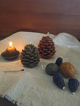 Load image into Gallery viewer, Forage Pinecones - Beeswax Candle Collection