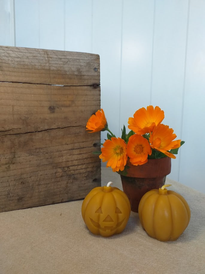 Halloween Jack-o-Lantern