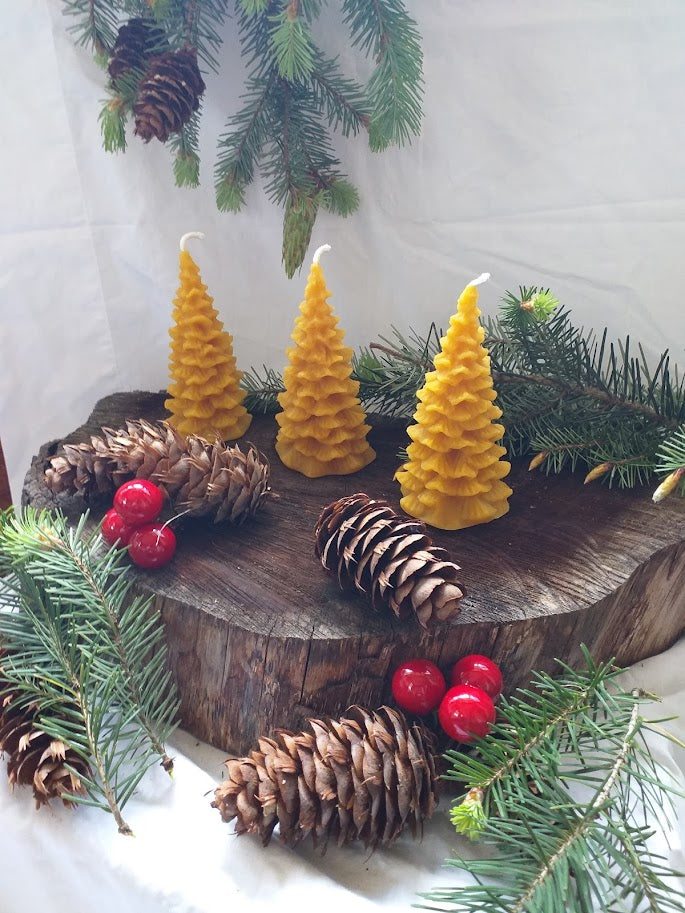 The Original Christmas Tree Candle