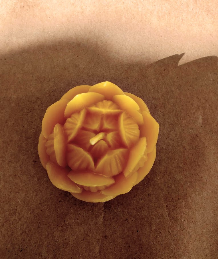 A Lotus Gift Set