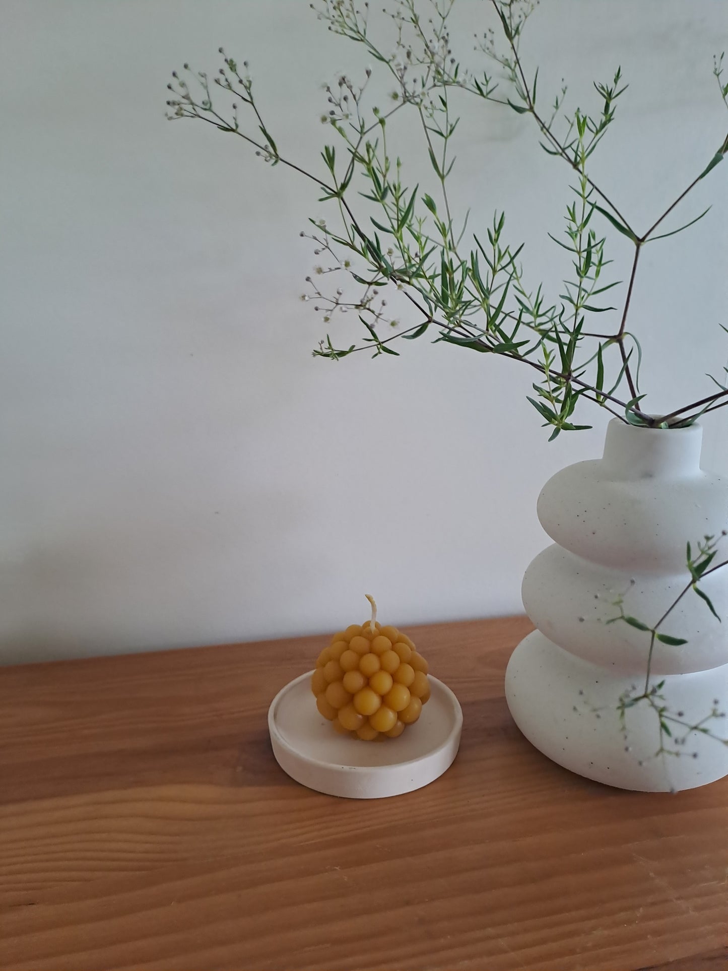 Coral from the Summer Collection