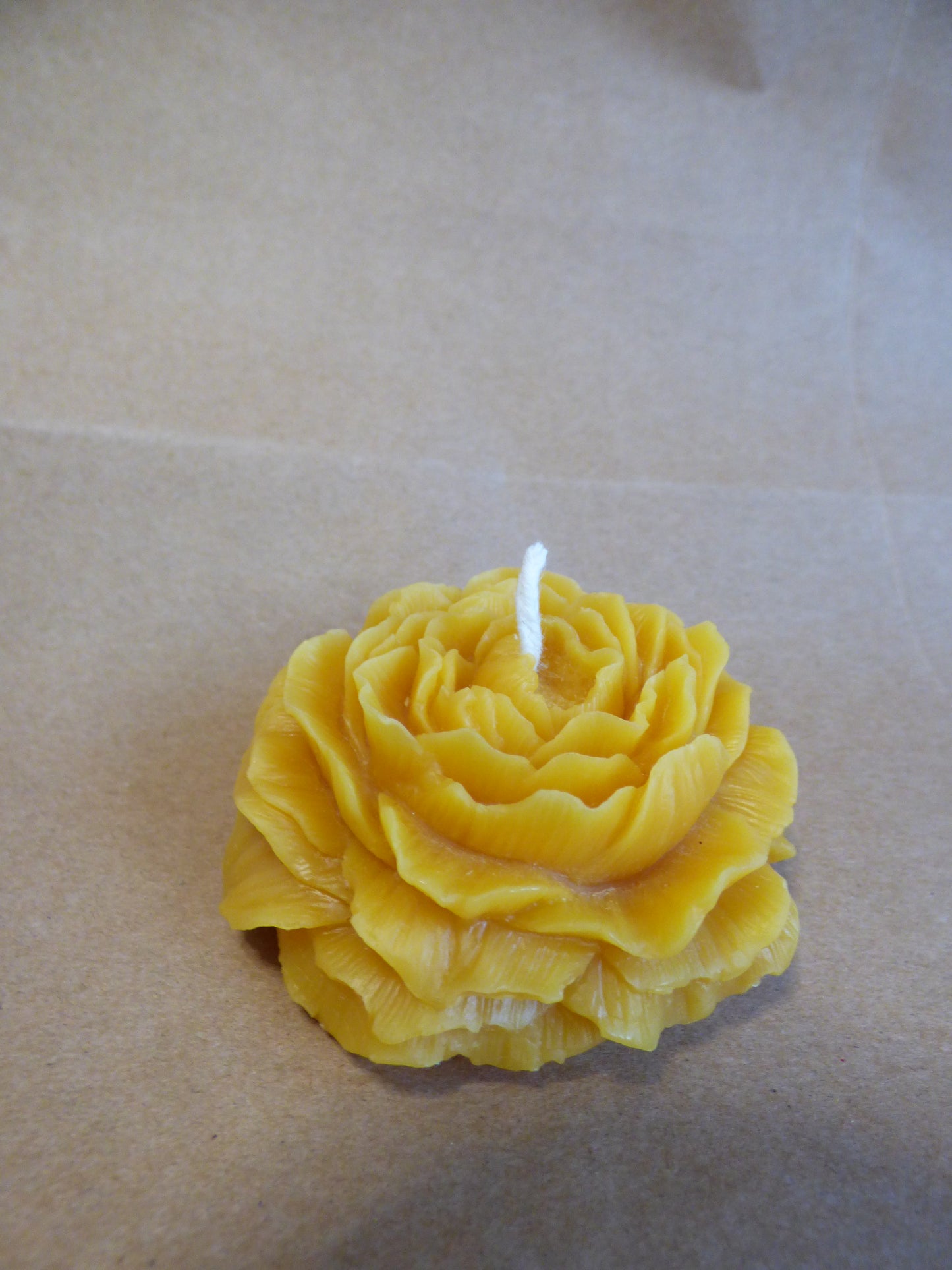 Beeswax Peony Flower