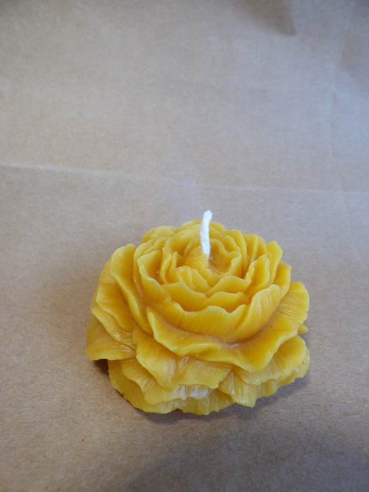 Beeswax Peony Flower