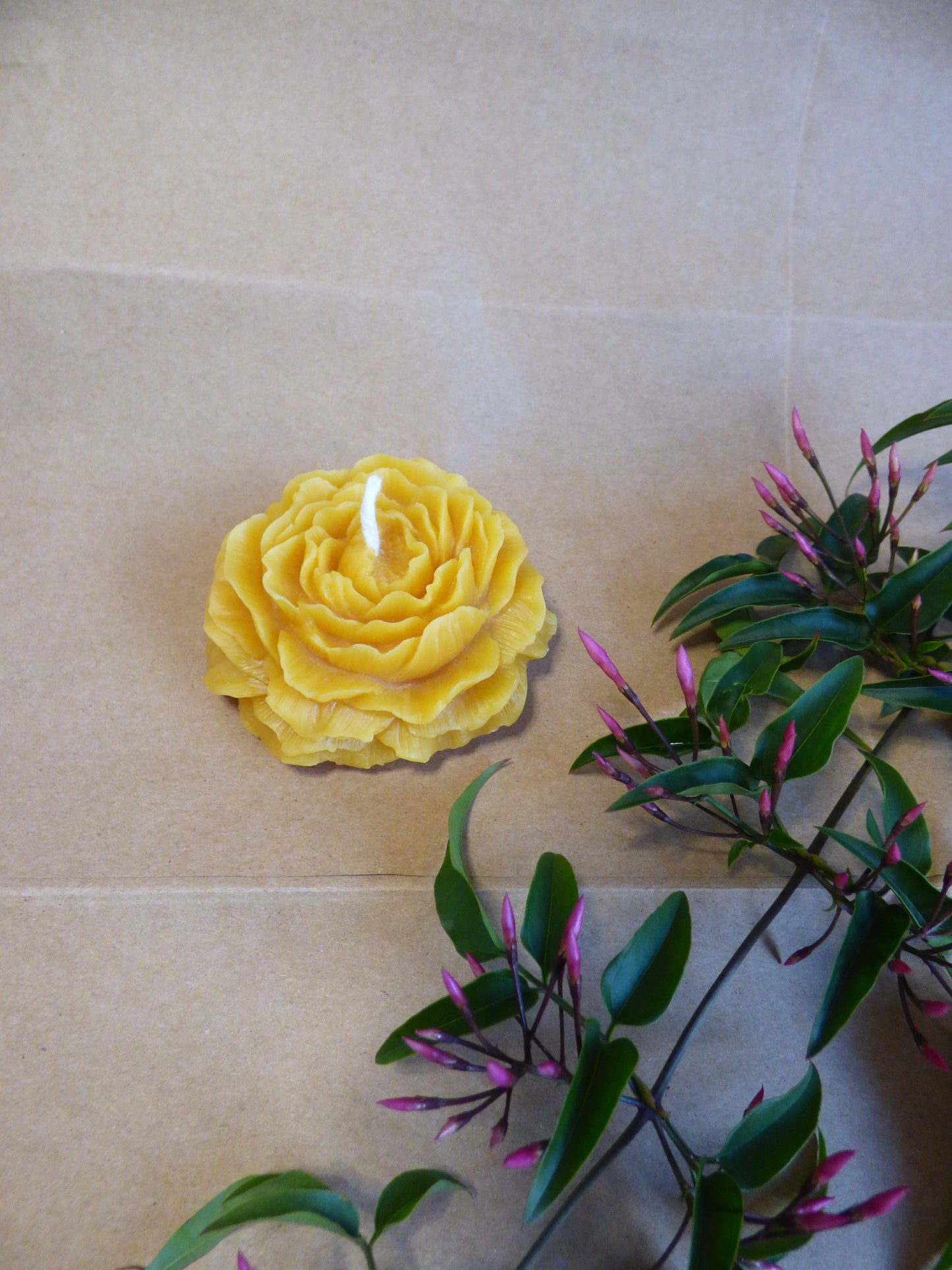 Beeswax Peony Flower