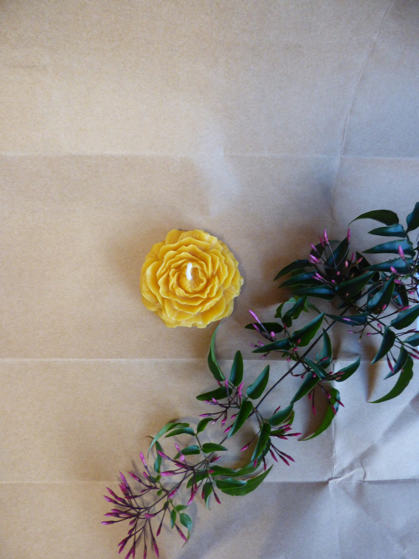 Beeswax Peony Flower