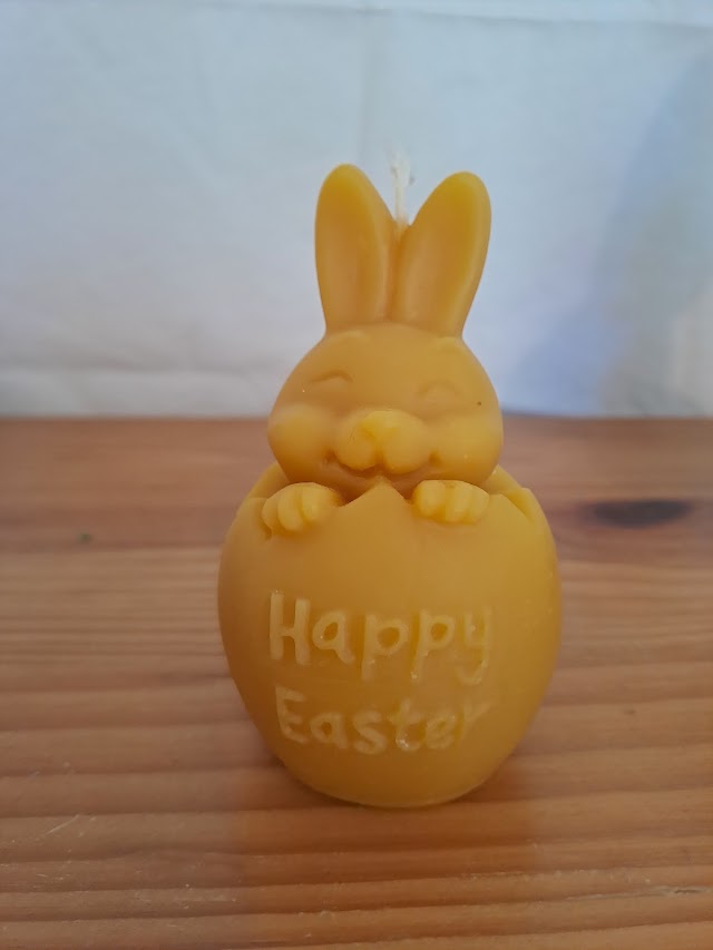 Happy Easter Bunny in Egg