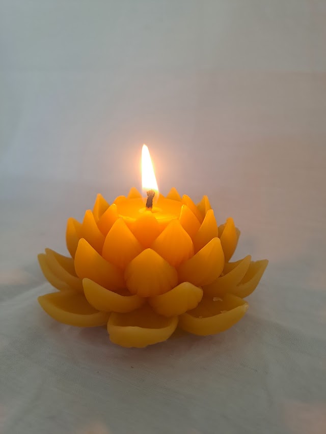 Open Lotus Flower