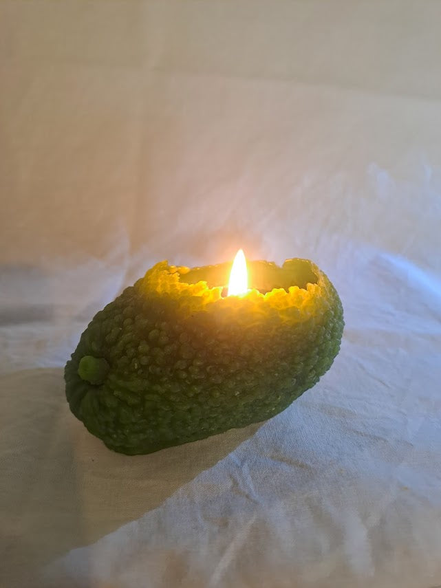 Avocado Candle