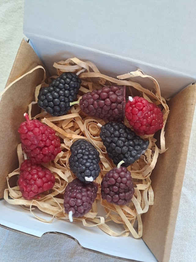 Autumn Beeswax Berry Candle Box