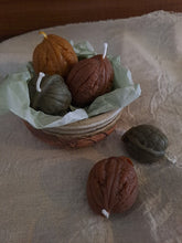 Load image into Gallery viewer, Forage Walnuts
